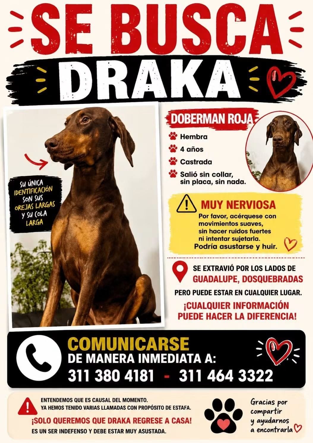 Foto de Draka