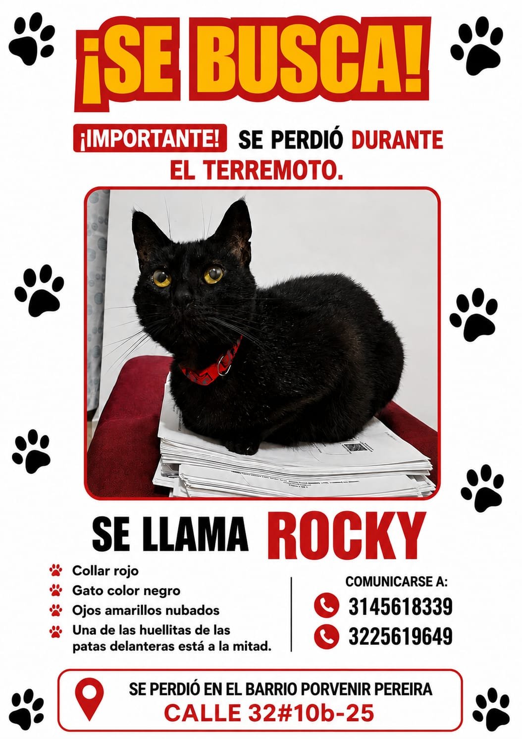 Foto de Rocky