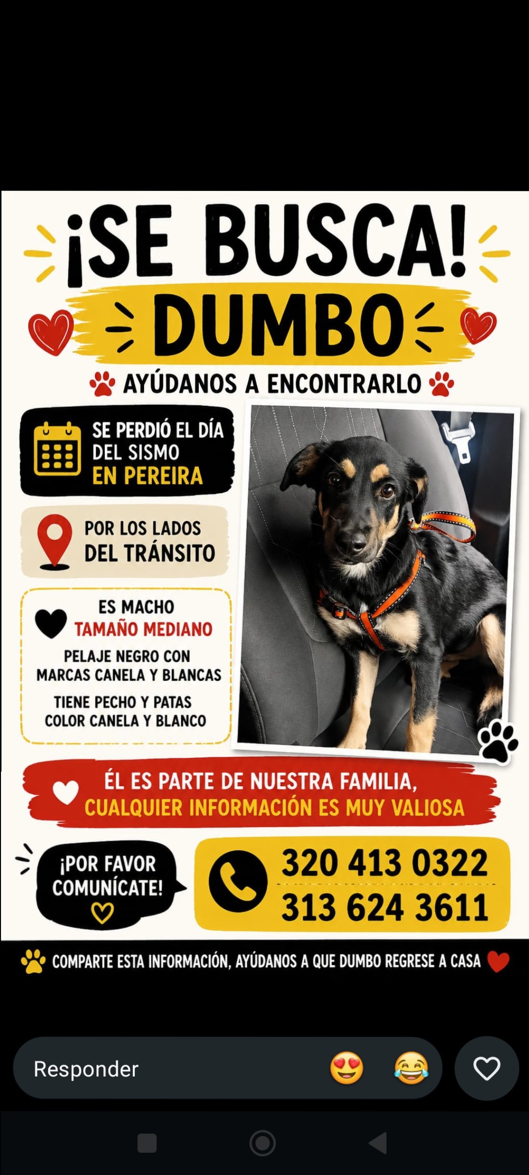Foto de Dumbo