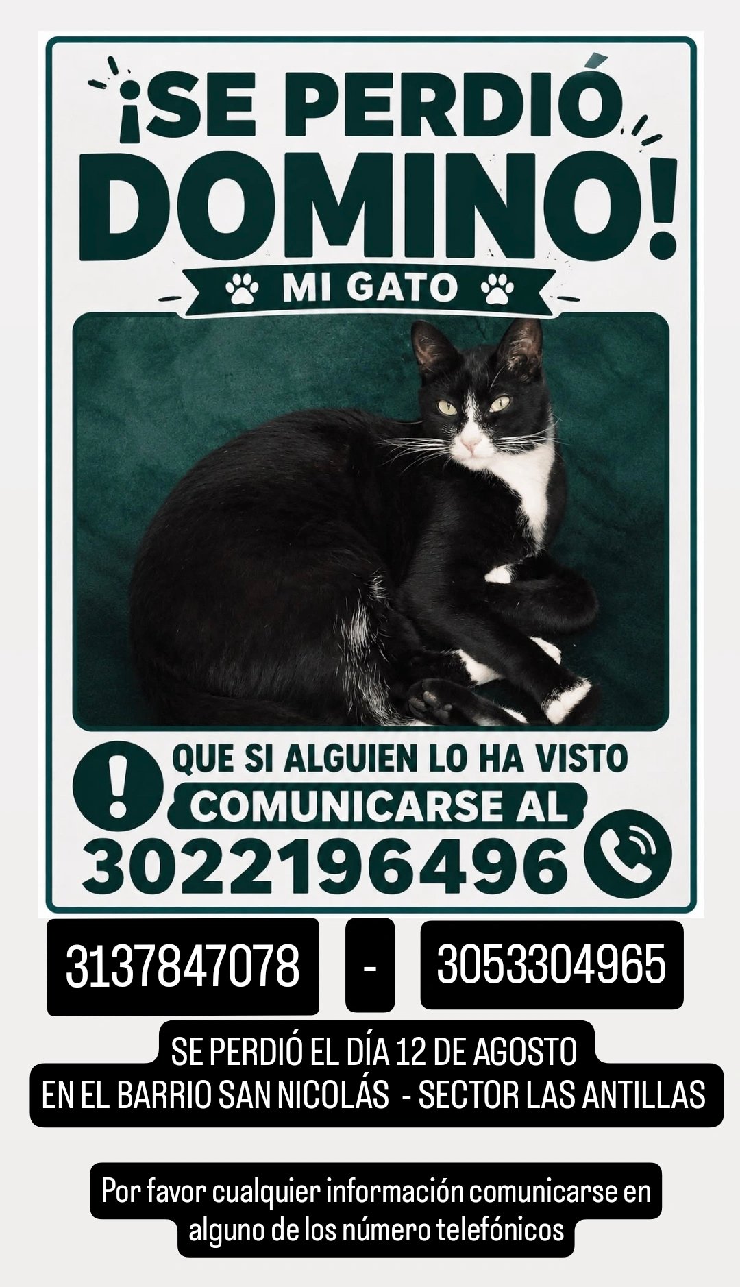 Foto de DOMINO