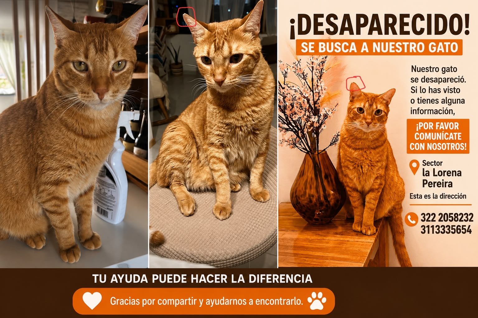 Foto de Leo