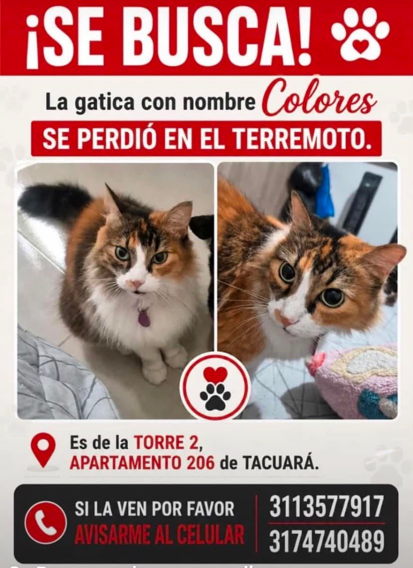 Foto de Colores