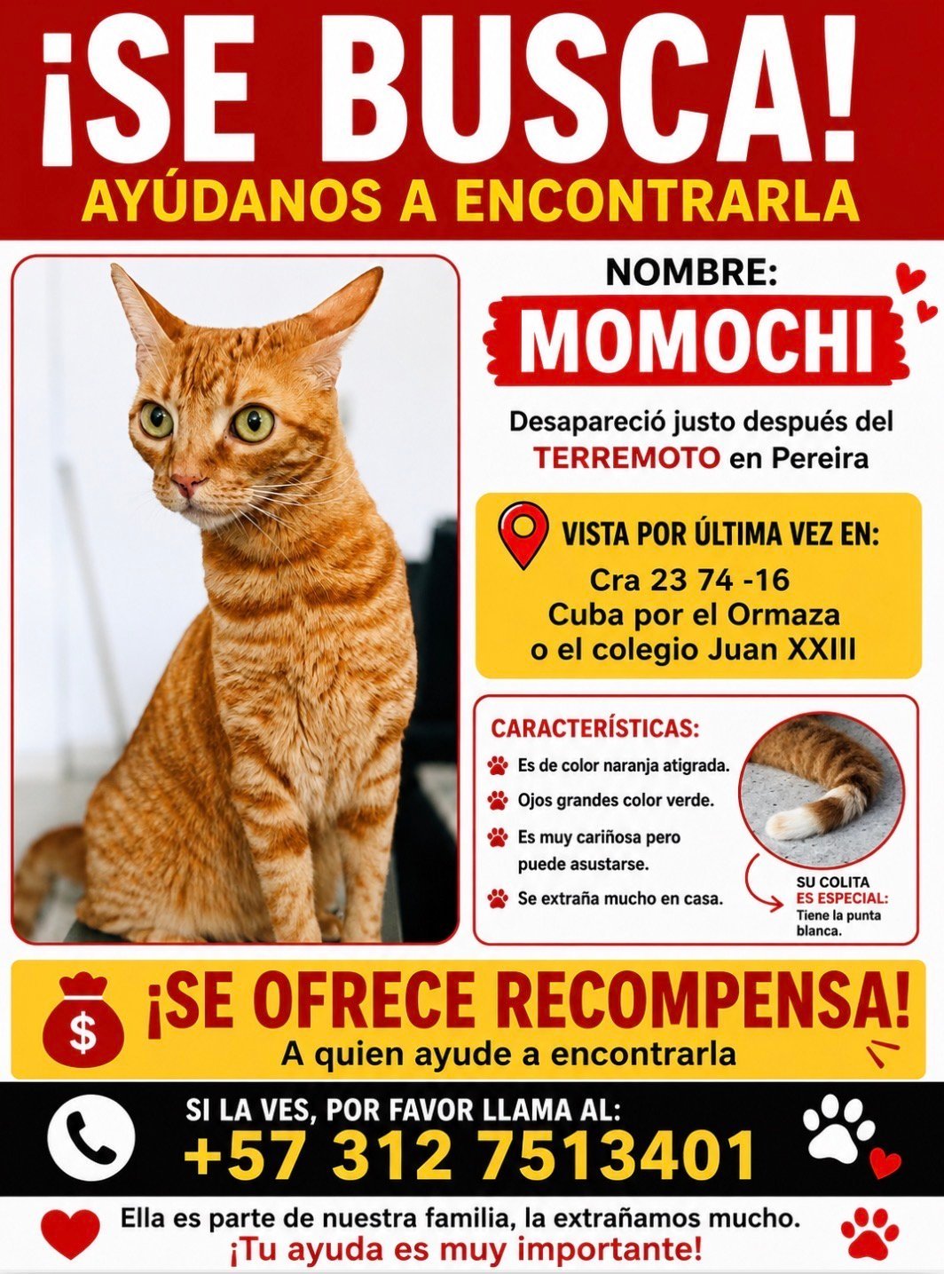 Foto de Momochi