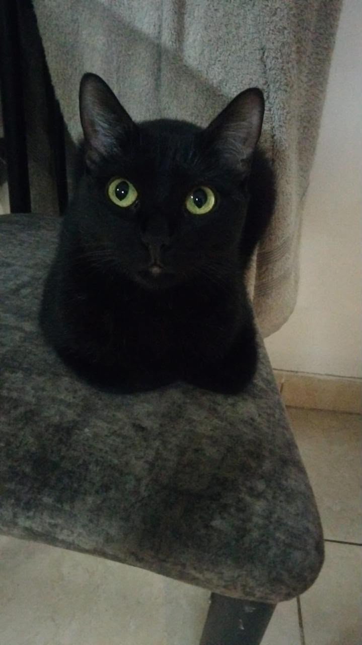 Foto de Morita