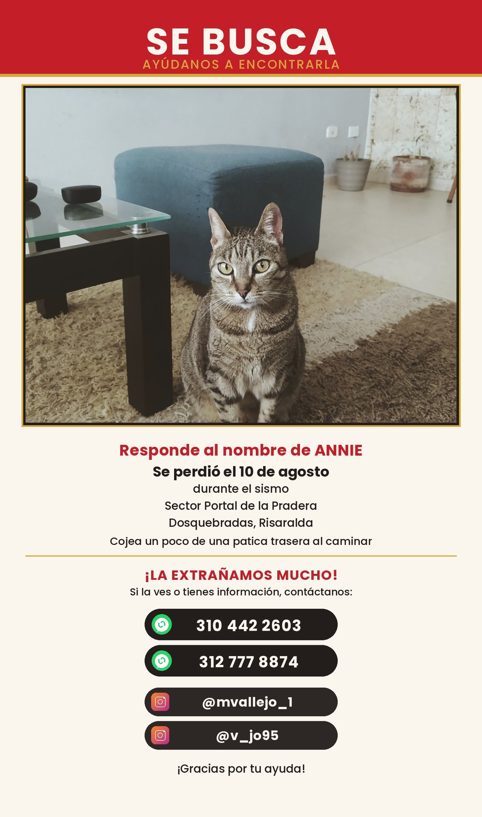 Foto de ANNIE