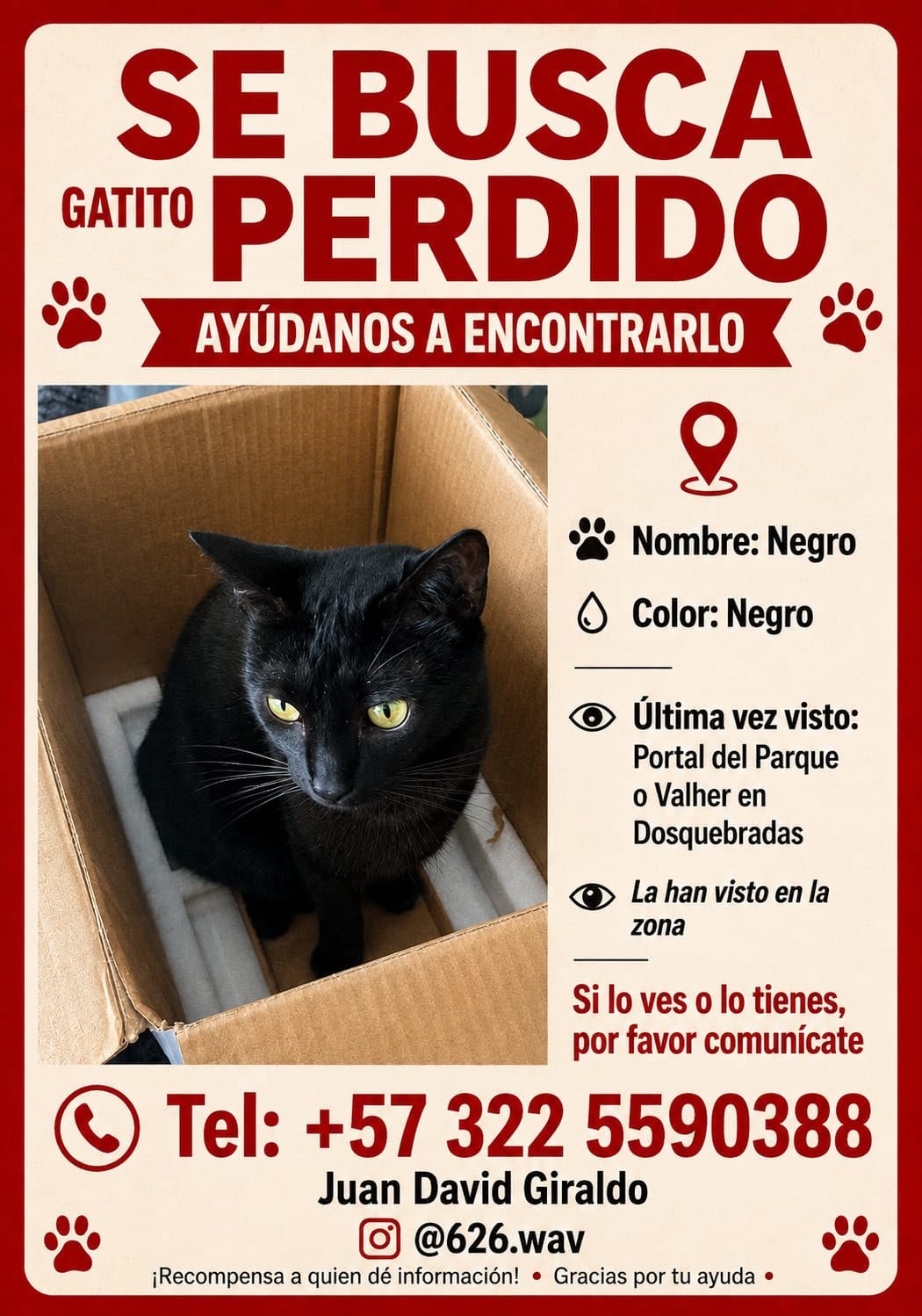 Foto de Negro