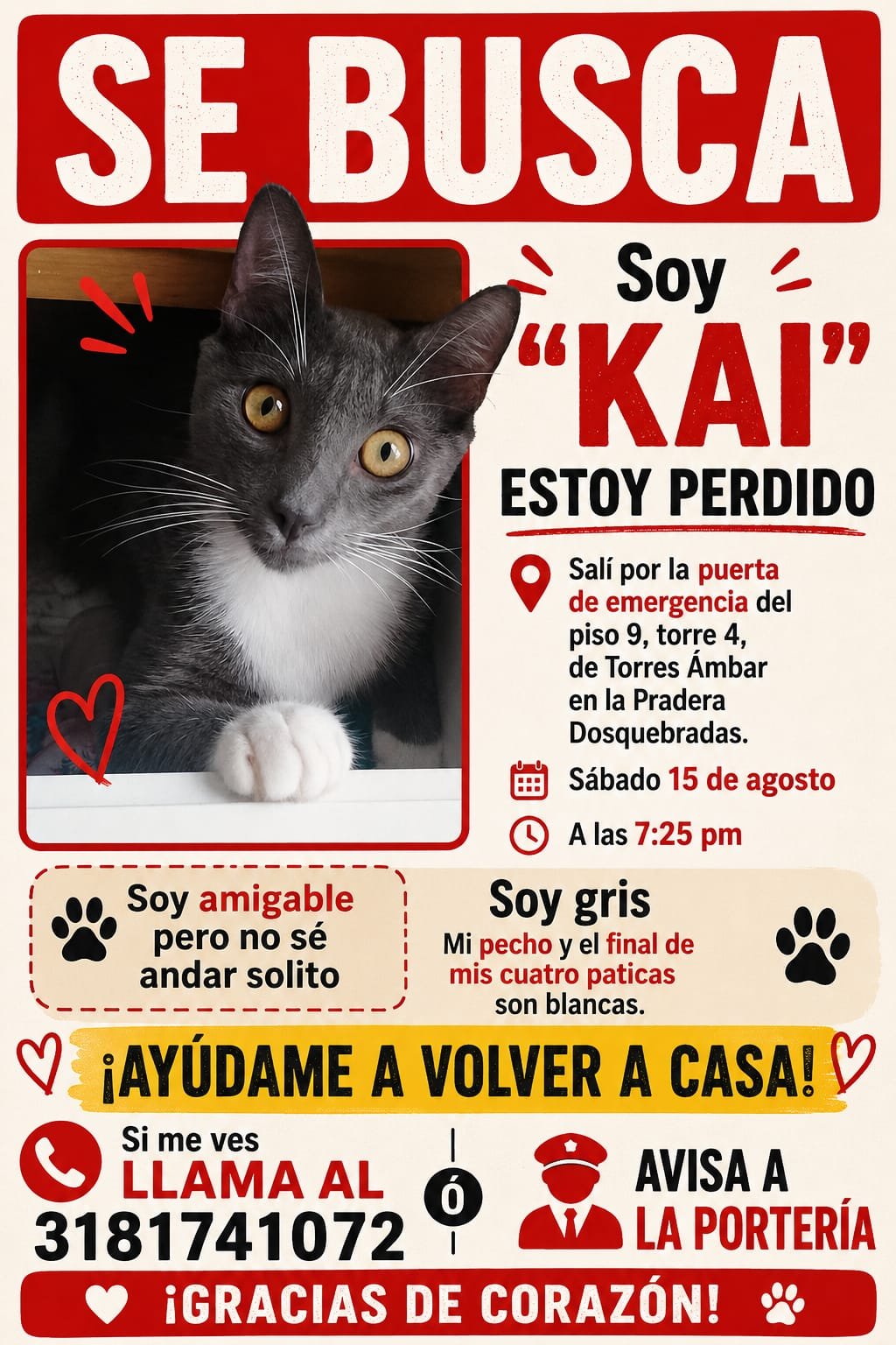 Foto de Kai