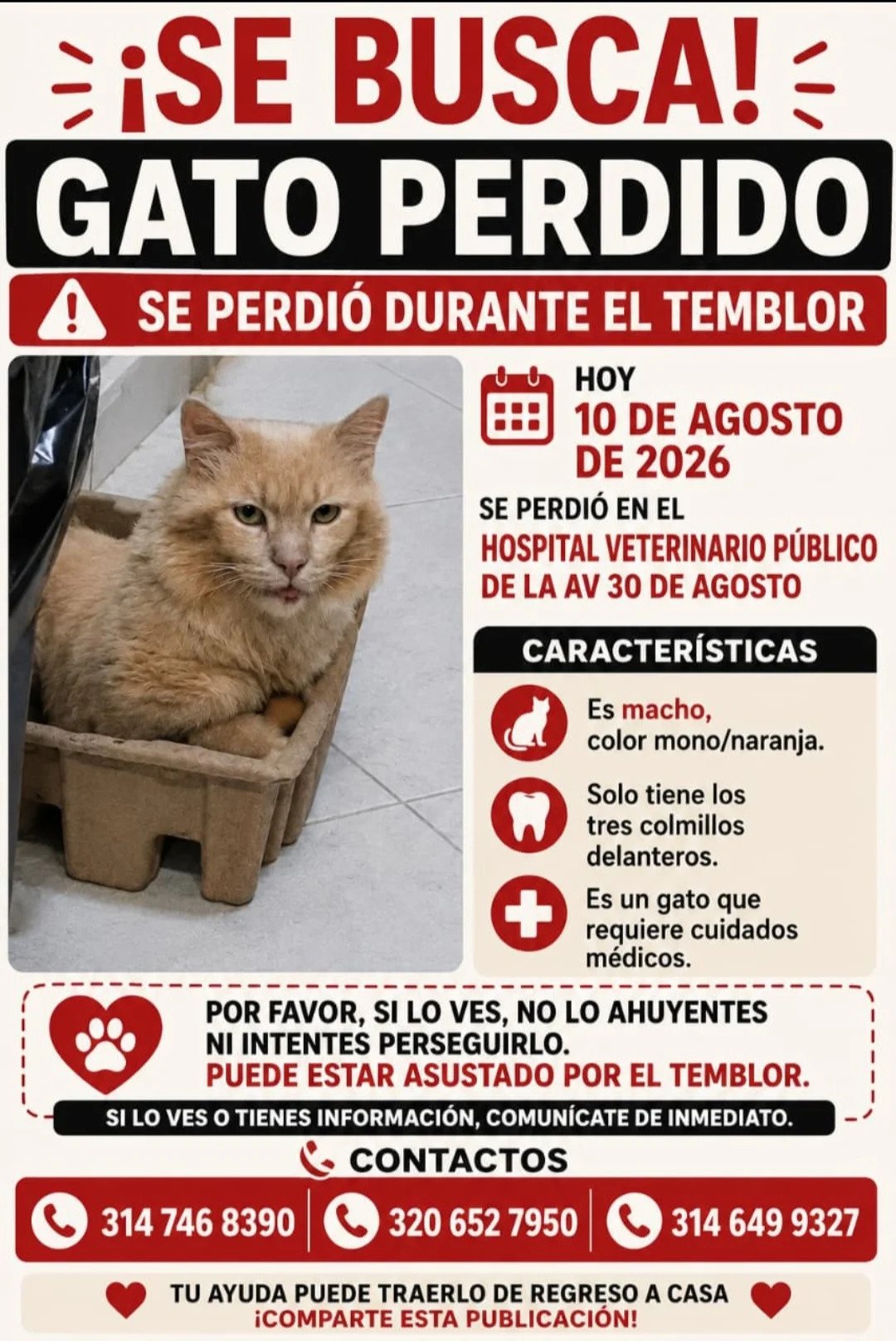 Foto de Mono