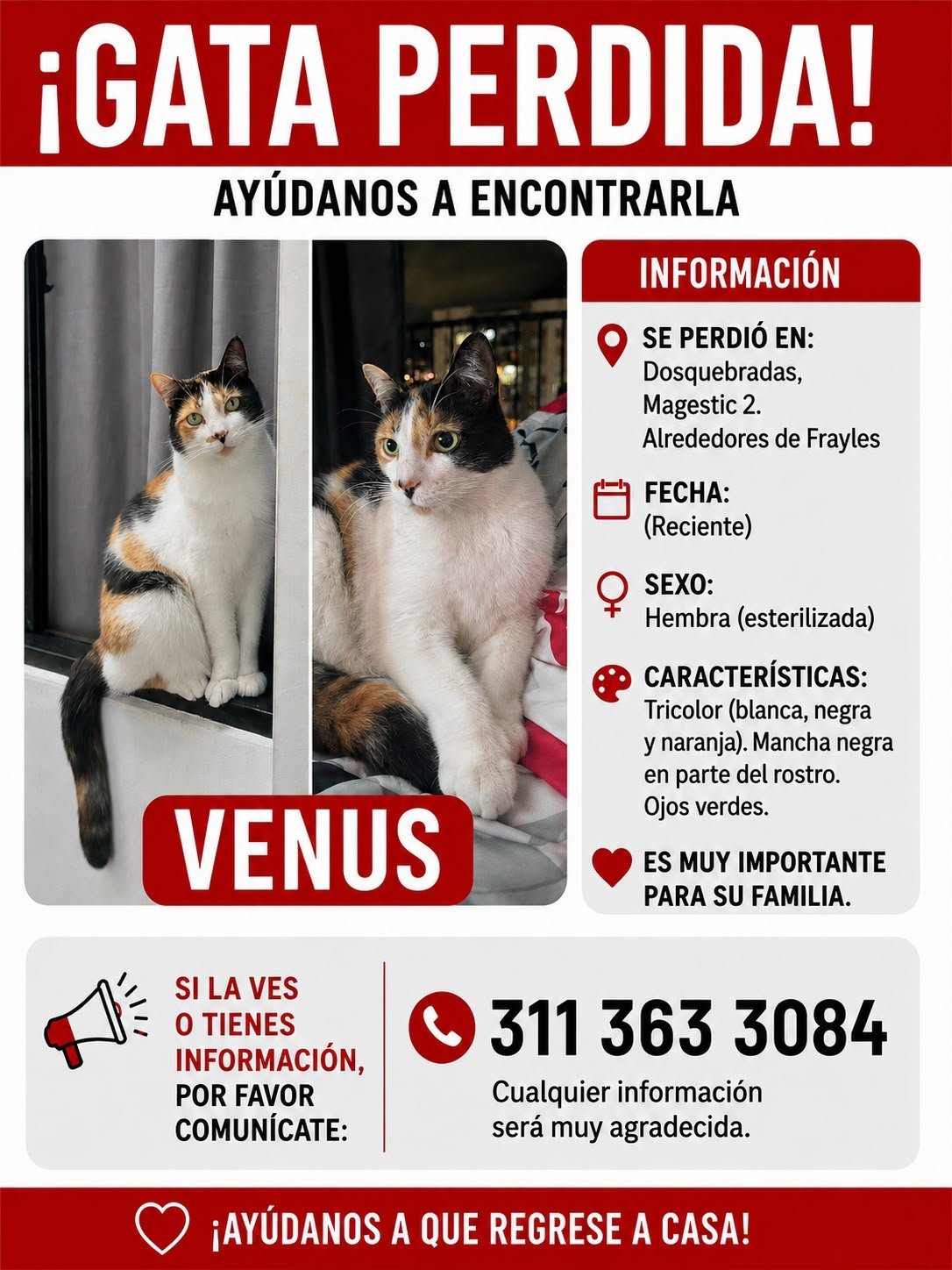 Foto de Venus