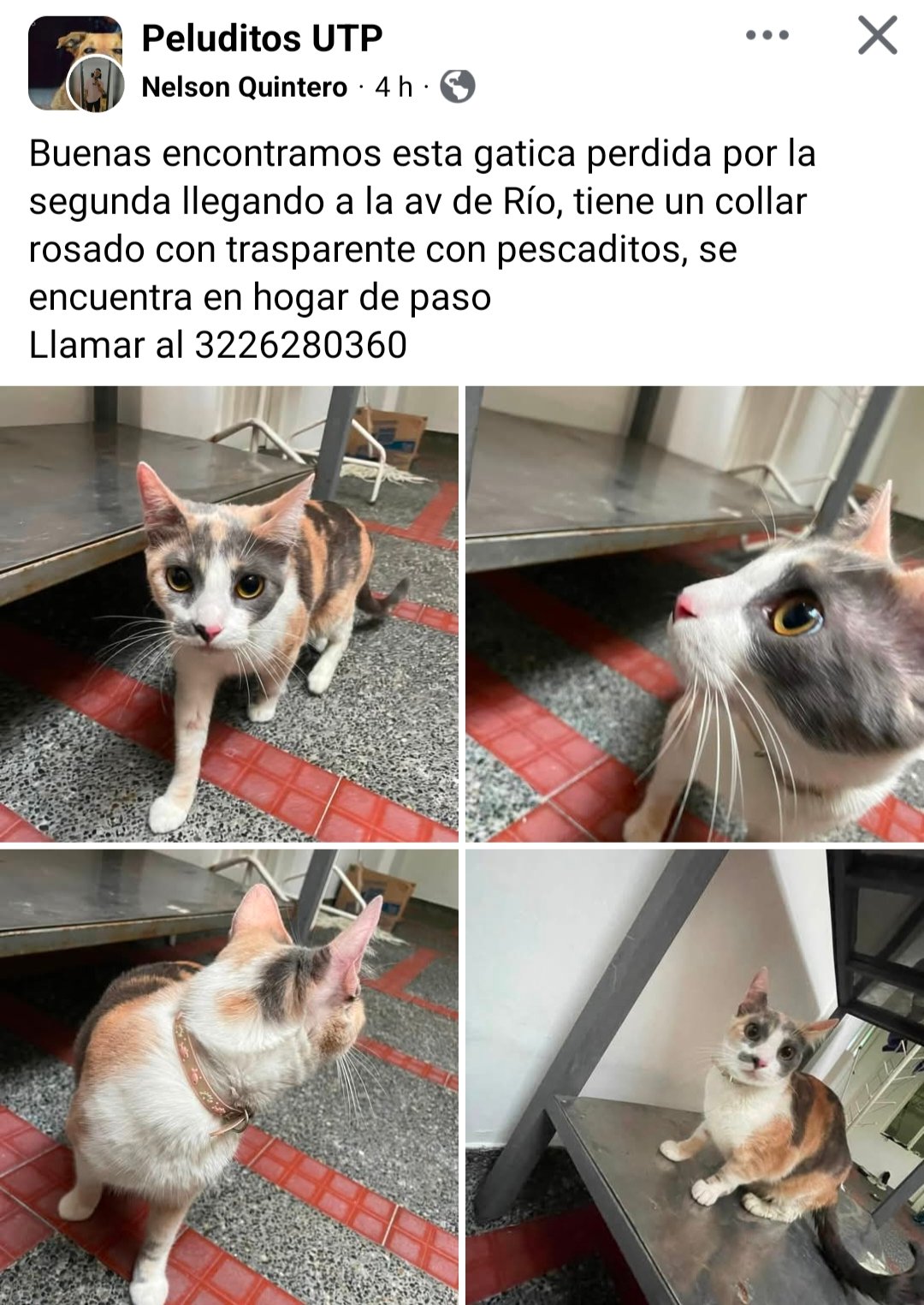 Foto de No sé