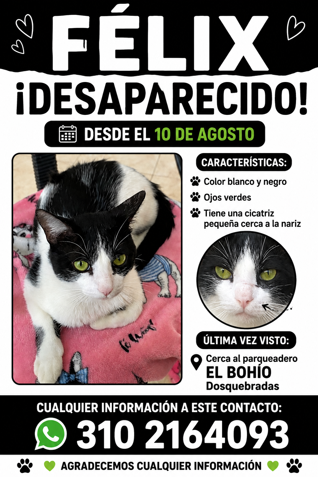 Foto de Félix