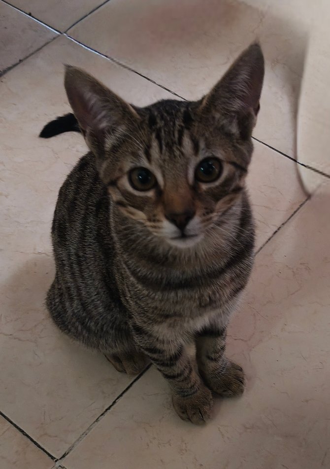 Foto de Thomas