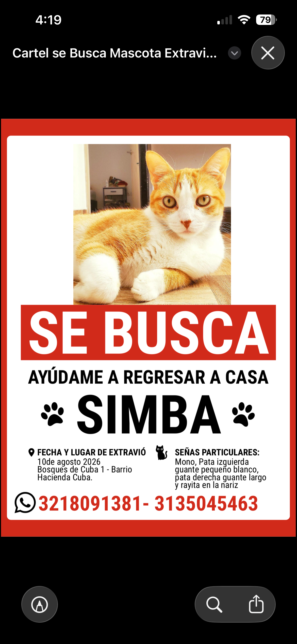 Foto de Simba